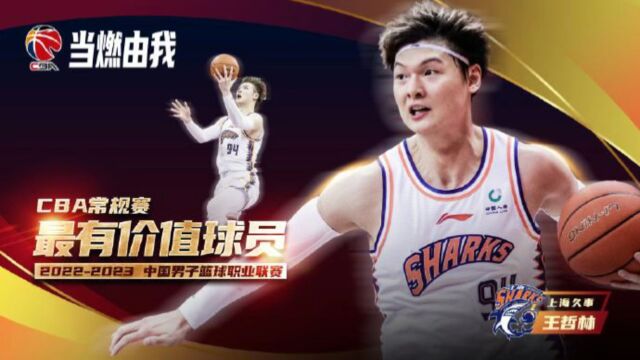 谁还质疑我?王哲林场均22+12再获MVP,周琦缺阵,他就是CBA本土第一中锋