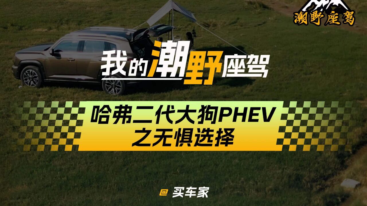 我的潮野座驾【哈弗二代大狗PHEV】之无惧选择