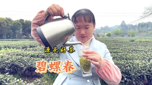 高山明前口粮绿茶碧螺春,汤色黄绿明亮,滋味越泡越香醇哦