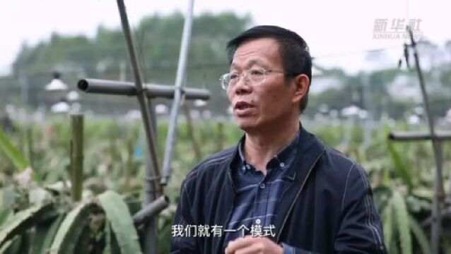 新华全媒+丨从产业升级透视中国发展潜力