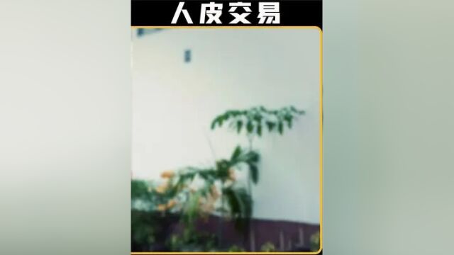 3/3《人皮交易》东南亚的肮脏交易#推荐电影