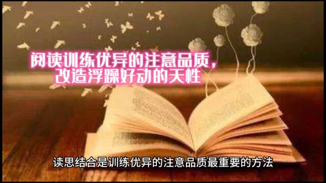 阅读的价值:阅读训练优异的注意品质,改造浮躁好动的天性