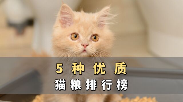 不知道怎么选择猫粮?来看看这5种优质猫粮