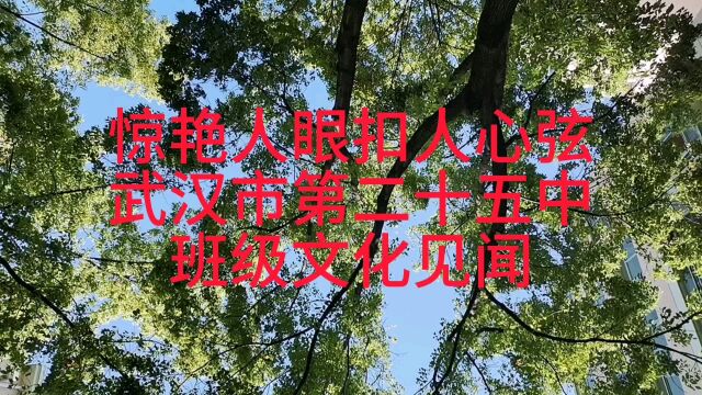 惊艳人眼扣人心弦武汉市第二十五中班级文化见闻