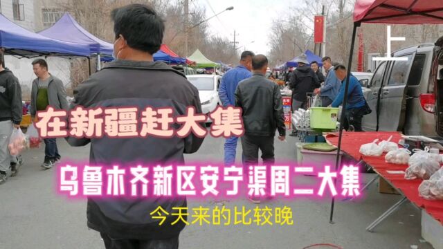 乌鲁木齐新市区安宁渠周二大集,新疆乡村集市,城市外的乡土气息