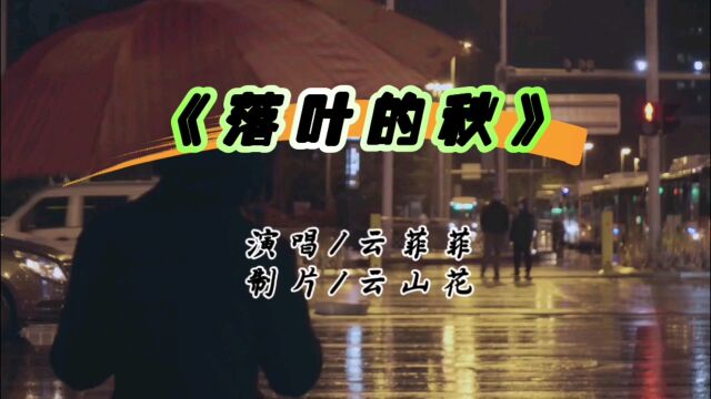 一曲《落叶的秋》唱出云菲菲的深情与思念,太好听了