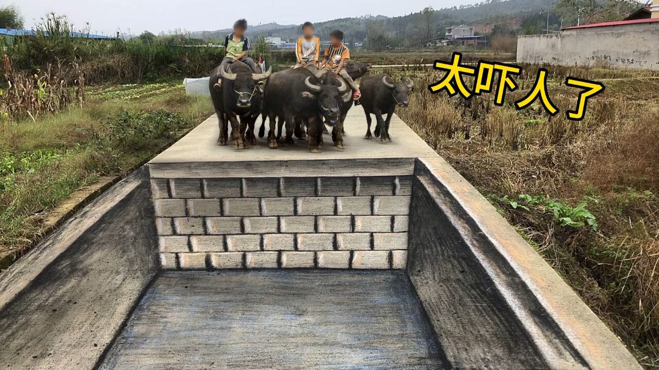 在马路上画个坑,牛看到了会有啥反应呢?