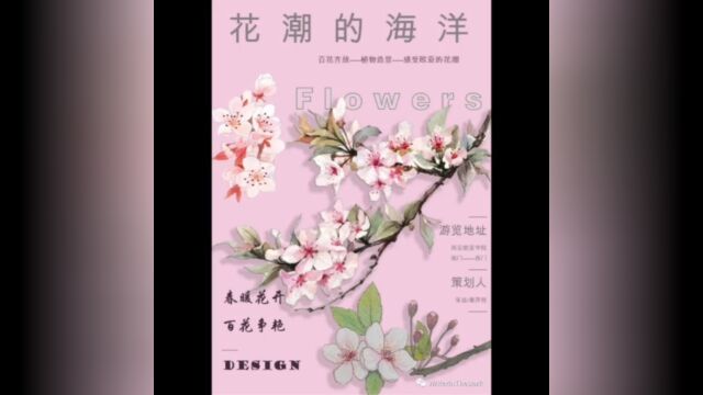 沉寂在花潮的海洋.