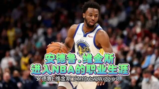 安德鲁.维金斯进入NBA的历史战绩