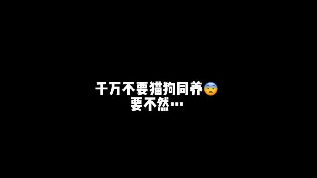 千万不要猫狗一起养!?要不然……