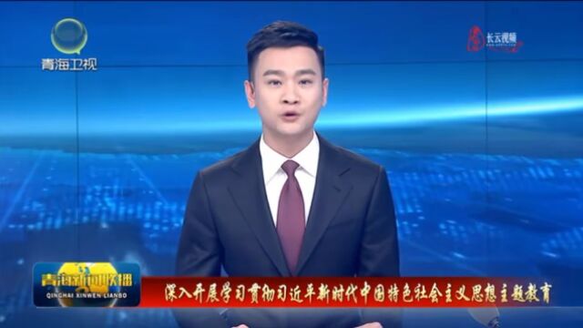 【深入开展学习贯彻习近平新时代中国特色社会主义思想主题教育】青藏集团公司:以主题教育推动高原铁路高质量发展