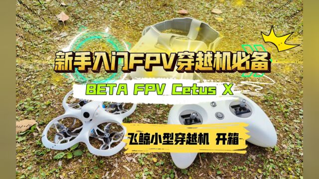 新手入门FPV穿越机必备:BETA FPV Cetus X 飞鲸小型穿越机 开箱