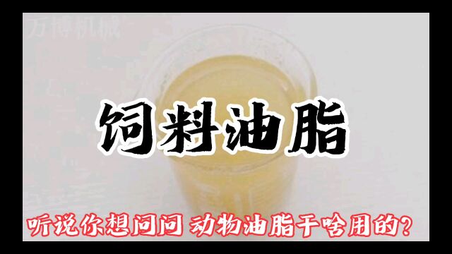 饲料里面为什么要添加动物油?#饲料油脂 #动物油脂 #饲料油 #猪油 #鸡鸭油