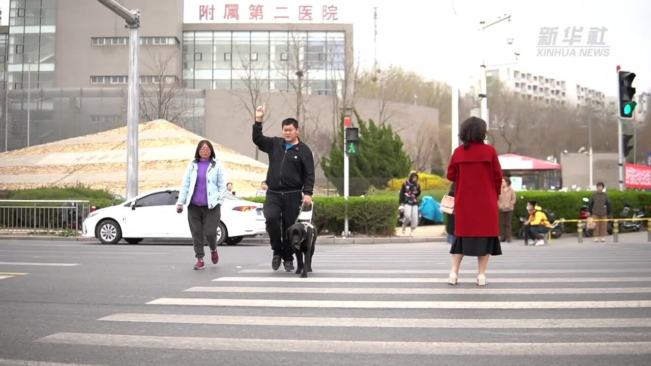 让“我”成为你的眼——探访中国导盲犬大连培训基地