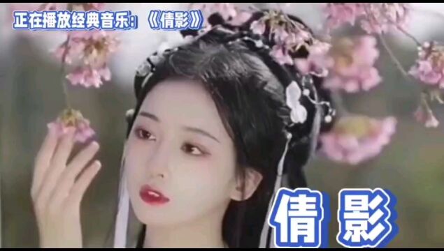 正在播放经典音乐《倩影》