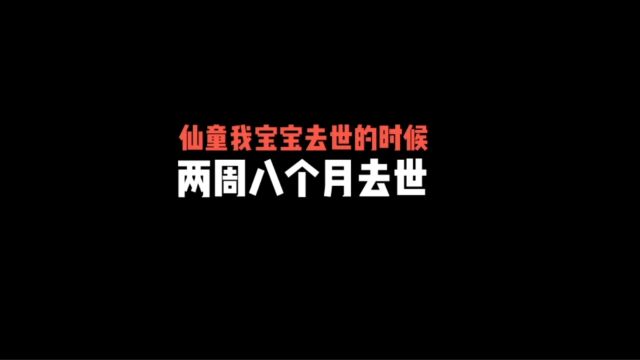 民间鬼故事 仙童