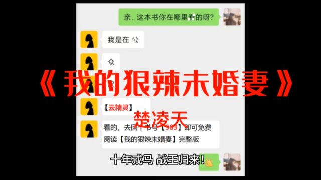 《我的狠辣未婚妻》楚凌天全文免费阅读【完结无弹窗】