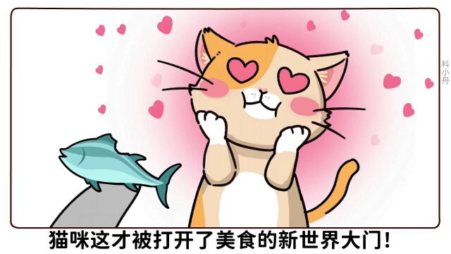  猫爱吃鱼,原来是因为被鱼骗了!