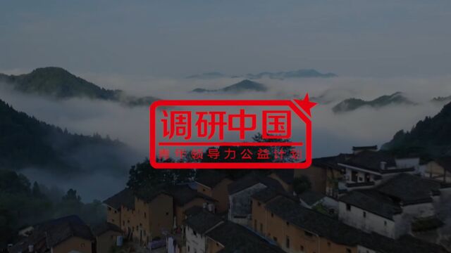 他们的答卷——2022年调研中国 | 调研纪录宣传视频