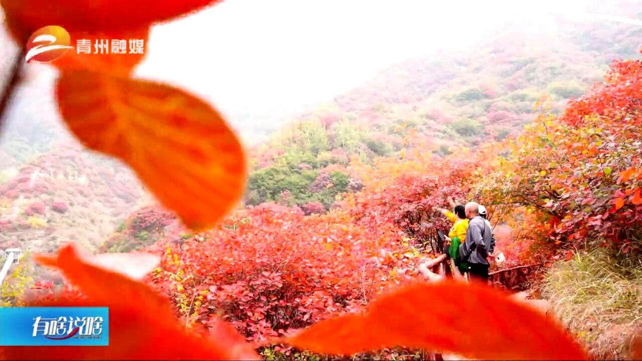 天赐山:漫山红叶醉金秋