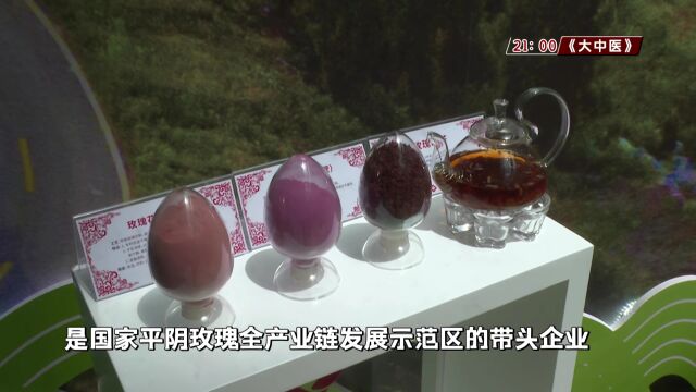 “花开泉涌 玫好济南” 2023玫瑰产品博览会盛大开幕