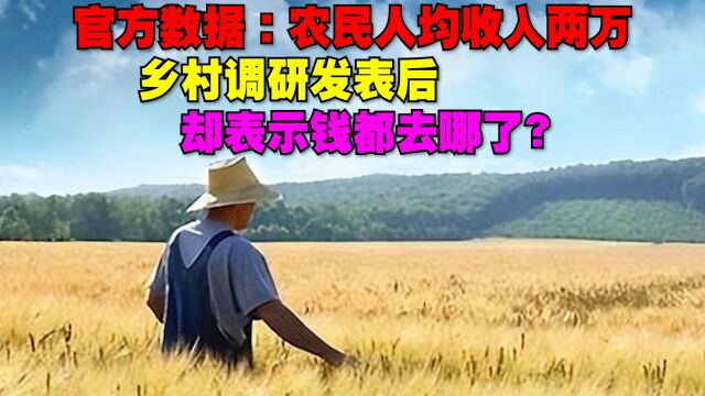 官方数据:农民人均收入两万,乡村调研发表后却表示钱都去哪了?