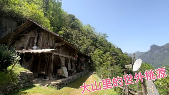 湖南一夫妻隐居深山 种了几十亩土地水果 真是让人羡慕的世外桃源