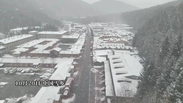 中国雪乡景区下雪了