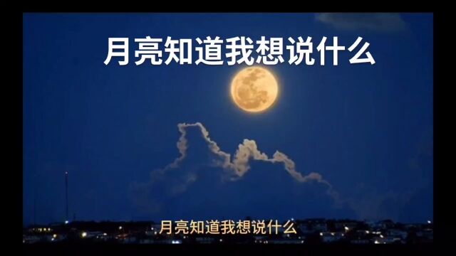 月亮知道我想说什么