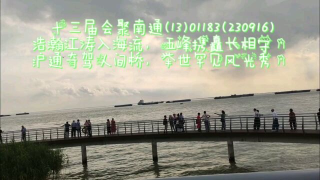 00980浩瀚江涛入海流,五峰携矗长相守.沪通奇驾人间桥,天下罕见风光秀.