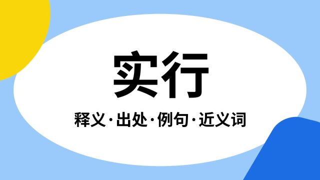 “实行”是什么意思?