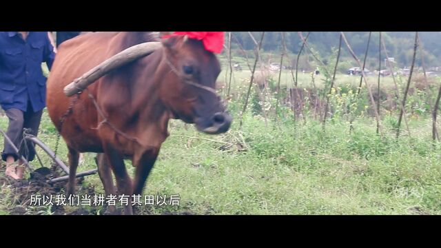 【一方风情】培田春耕节