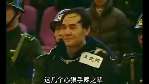 杜绝犯罪回顾经典最纪实的国内刑侦电视剧《三八大案》