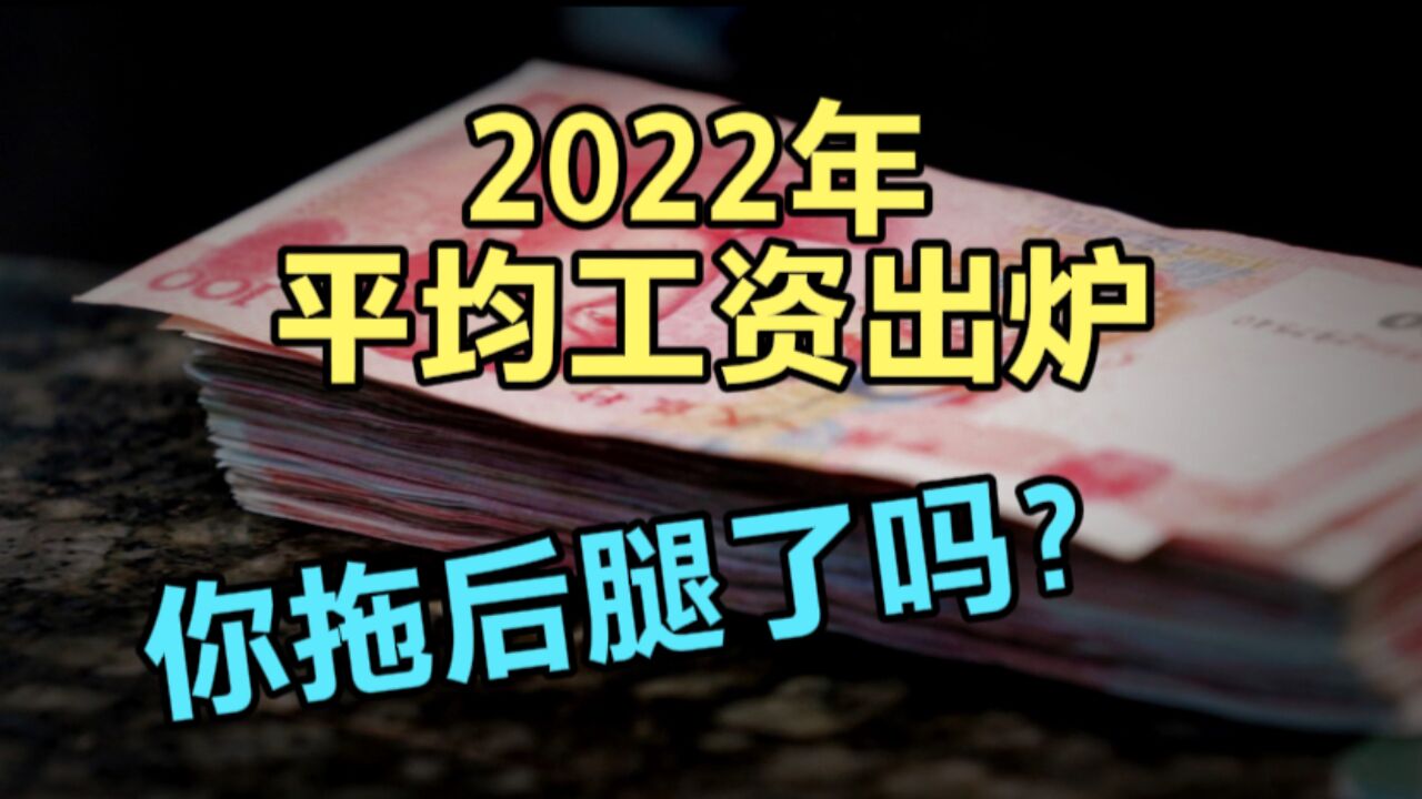 2022平均工资出炉,私营非私营差距很大,专家建议理性看待差异