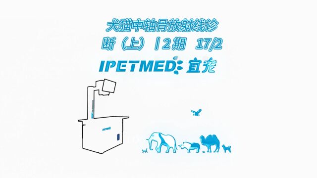 犬猫中轴骨放射线诊断(上)丨2期17/2