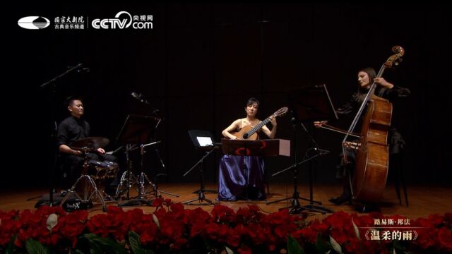 杨雪霏与国家大剧院管弦乐团「桑巴往事」音乐会《温柔的雨》