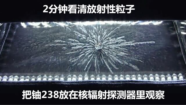 把铀238放在核辐射探测器里观察 2分钟看清放射性粒子