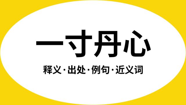 “一寸丹心”是什么意思?