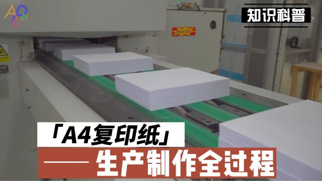 A4复印纸生产制作全过程