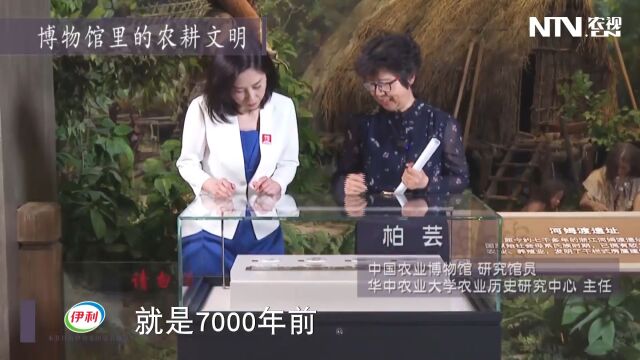 [三农三人谈]博物馆里的农耕文明