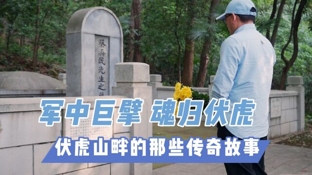 【寻城记第四季】鄂中军人之巨擘,蔡济民魂归伏虎