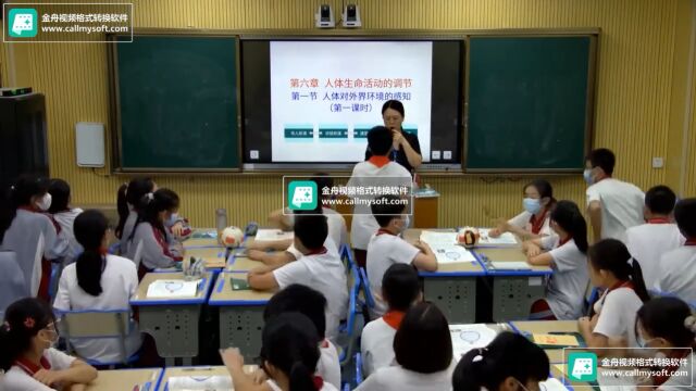 小课题研究课《人体对外界环境的感知》韦淑芬 2023