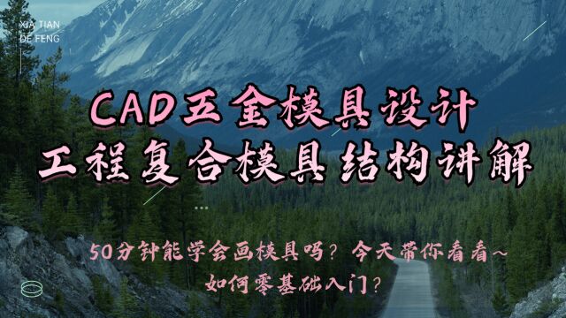 单工序复合模具结构学习,CAD五金模具设计工厂案例~