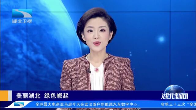 美丽湖北 绿色崛起 咔嚓!在仙桃邂逅湿地“精灵”