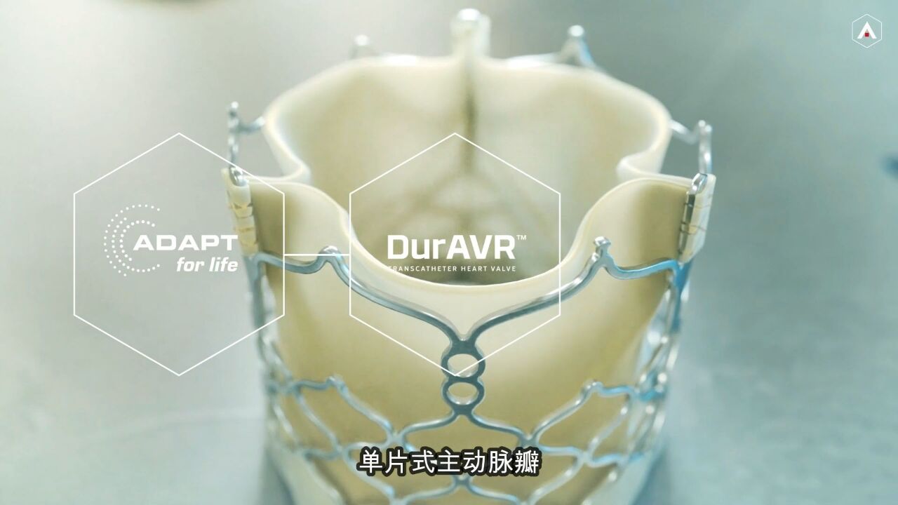 DurAVR:最新仿生型长寿命介入TAVR瓣膜