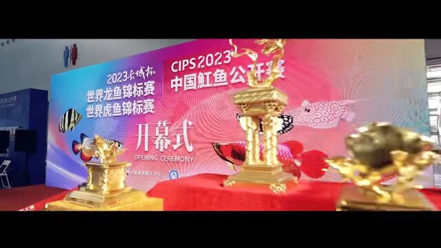 2023长城杯龙虎魟大赛今日开赛, 现场豪鱼聚集、爱好者共聚一堂! 明日全场最热——龙鱼大赛总冠即将诞生𐟏†现场也将开放展览,欢迎各位爱好者、同...