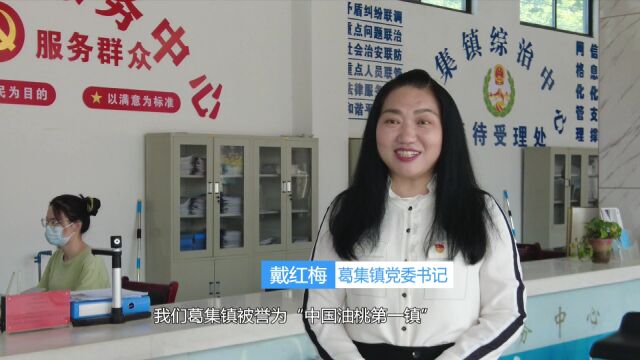 黄金蜜桃新鲜上市