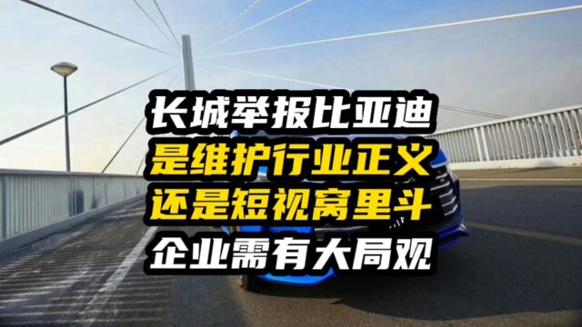 长城举报比亚迪:是维护行业正义还是窝里斗?企业需有大局观