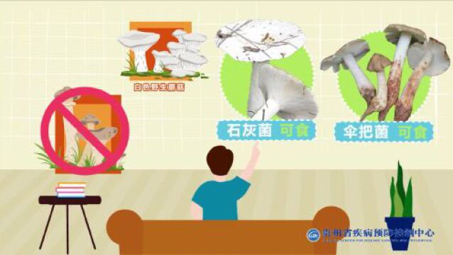 警惕!贵州有白色毒伞伞“出没”!