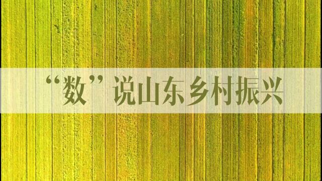 看乡村振兴齐鲁样板亮眼成绩单